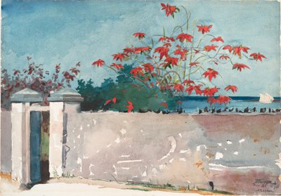 Un muro, Nassau da Winslow Homer